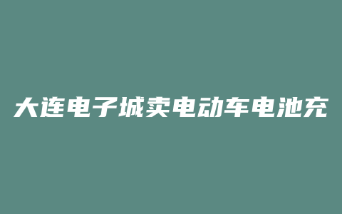 大连电子城卖电动车电池充电器