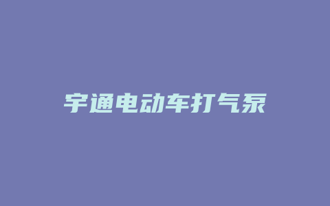 宇通电动车打气泵