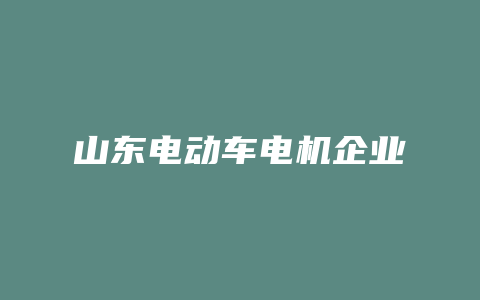 山东电动车电机企业