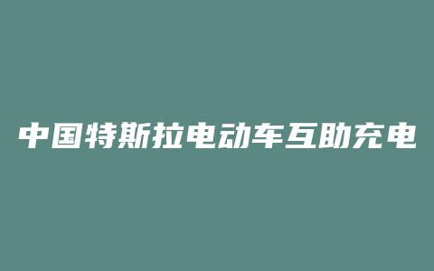 中国特斯拉电动车互助充电平台