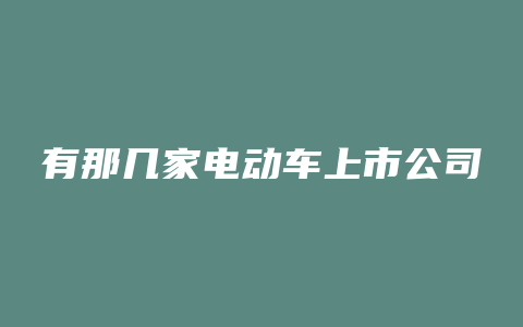 有那几家电动车上市公司