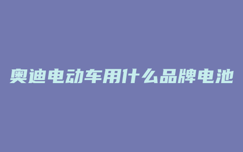 奥迪电动车用什么品牌电池